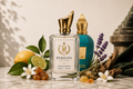 EBP Inspirada en Erba Pura Xerjoff 100ml